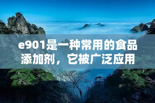 e901是一种常用的食品添加剂,它被广泛应用于食品工业中。在本文中,我们将详细介绍e901的特点、用途以及对人体健康的影响。 e901是一种常用的食品添加剂,它被广泛应用于食品工业中。在本文中,我们将详细介绍e901的特点、用途以及对人体健康的影响。