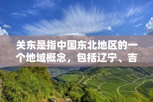 关东是指中国东北地区的一个地域概念,包括辽宁、吉林、黑龙江三个省份。关东地区位于中国东北部,东临黄海和日本海,西接华北平原,北濒松花江和黑龙江,南界长白山。关东地区地势较为平坦,气候寒冷,冬季漫长而严寒,夏季短暂而凉爽。关东地区是中国重要的工业基地和粮食生产区,拥有丰富的矿产资源和农业资源。