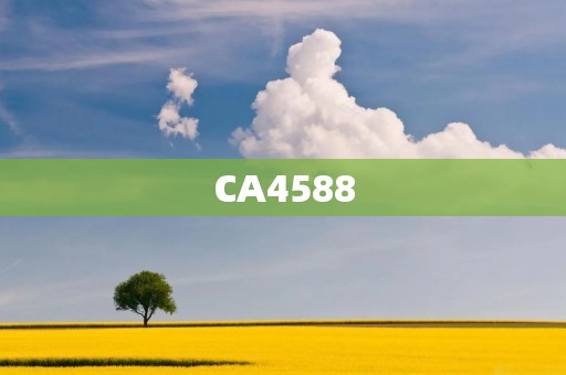 CA4588：汽车行业的新宠
