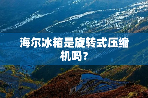 海尔冰箱是旋转式压缩机吗？