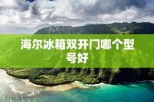 海尔冰箱**门哪个型号好：全面对比海尔BCD-519WDPM与BCD-519WDGP