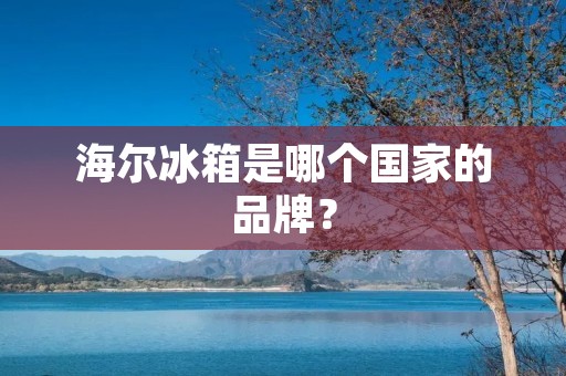海尔冰箱是哪个国家的品牌？