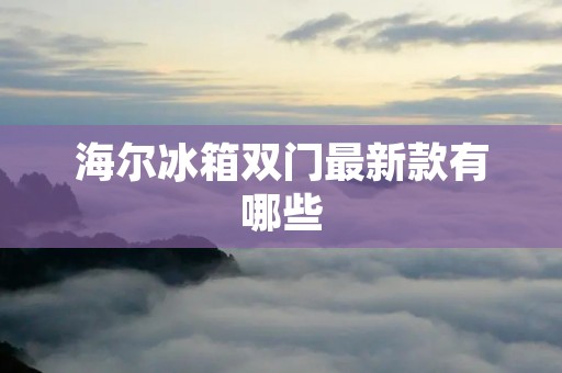 海尔冰箱双门最新款有哪些