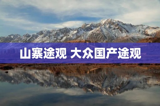 山寨途观 大众国产途观
