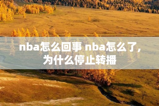 nba怎么回事 nba怎么了,为什么停止转播