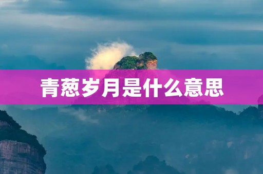 青葱岁月是什么意思