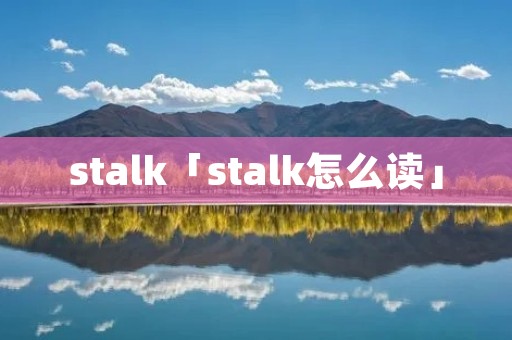 stalk「stalk怎么读」