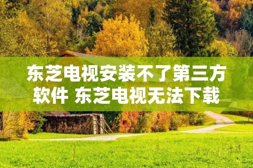 东芝电视安装不了第三方软件 东芝电视无法下载安装第三方软件