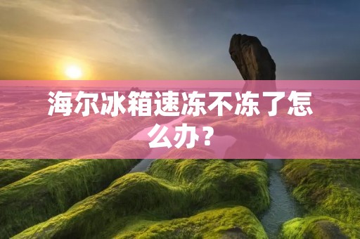 海尔冰箱速冻不冻了怎么办？