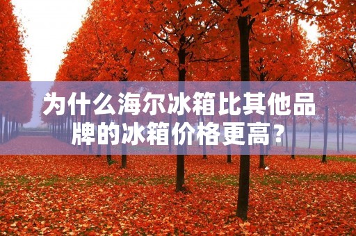 为什么海尔冰箱比其他品牌的冰箱价格更高? 为什么海尔冰箱比其他品牌的冰箱价格更高?