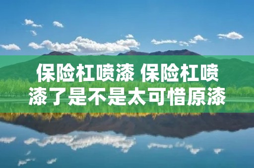 保险杠喷漆 保险杠喷漆了是不是太可惜原漆了