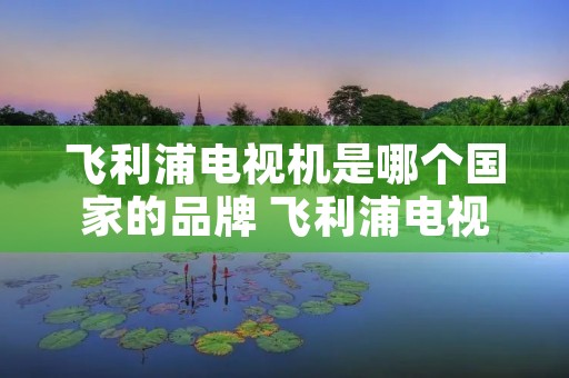 飞利浦电视机是哪个国家的品牌 飞利浦电视是哪个国家的产品品牌