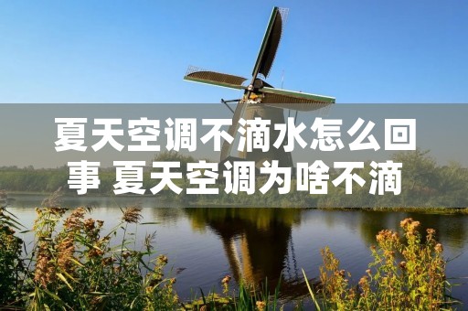 夏天空调不滴水怎么回事 夏天空调为啥不滴水