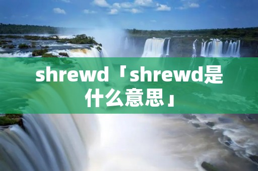 shrewd「shrewd是什么意思」