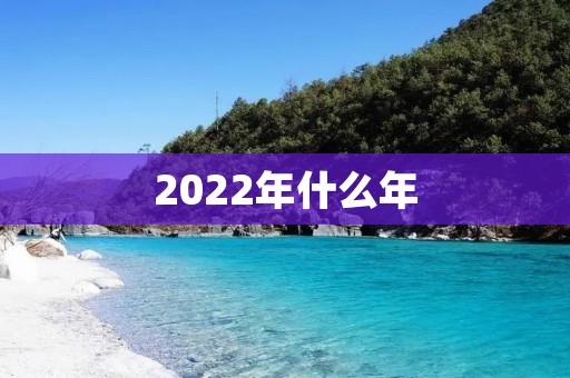 2022年什么年