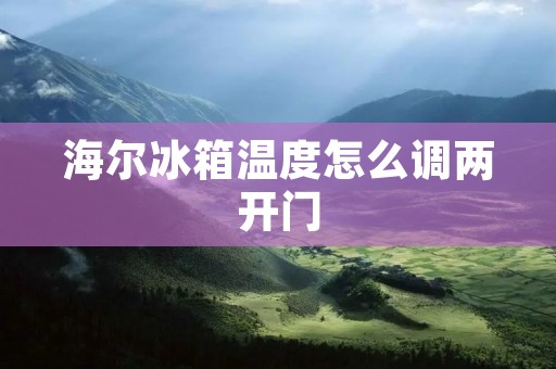 海尔冰箱温度怎么调两开门:详细解析 海尔冰箱温度怎么调两开门:详细解析