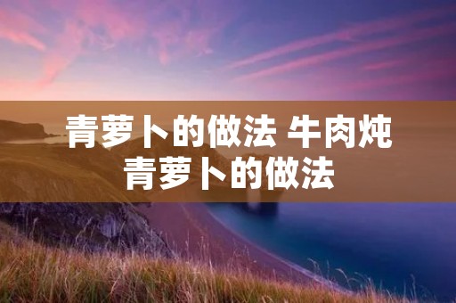 青萝卜的做法 牛肉炖青萝卜的做法