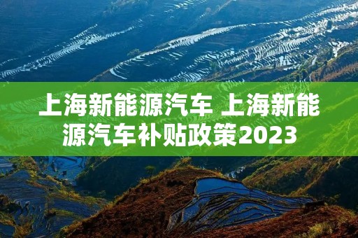 上海新能源汽车 上海新能源汽车补贴政策2023 上海新能源汽车 上海新能源汽车补贴政策2023