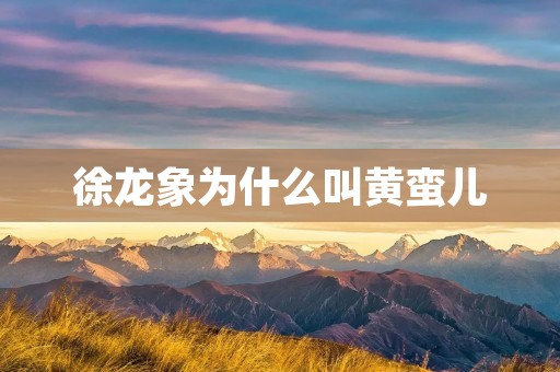 徐龙象为什么叫黄蛮儿