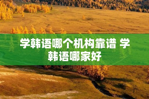学韩语哪个机构靠谱 学韩语哪家好