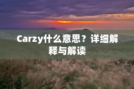 Carzy什么意思?详细解释与解读 Carzy什么意思?详细解释与解读