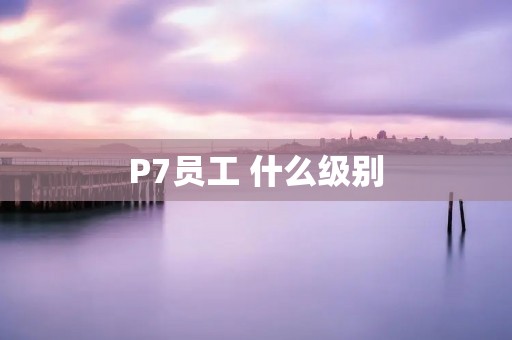 P7员工 什么级别