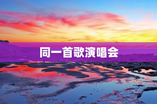 同一首歌演唱会:音乐的奇迹与观众的共鸣 同一首歌演唱会:音乐的奇迹与观众的共鸣