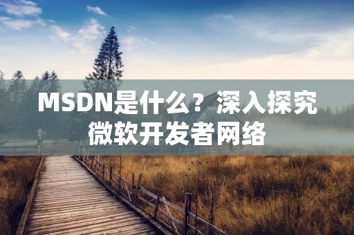 MSDN是什么？深入探究微软开发者网络