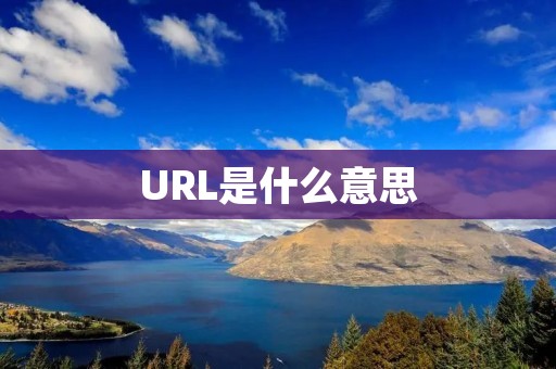 URL是什么意思