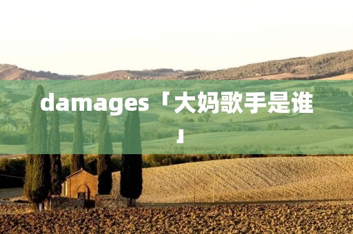 damages「大妈歌手是谁」
