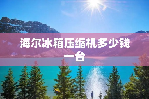 海尔冰箱压缩机多少钱一台