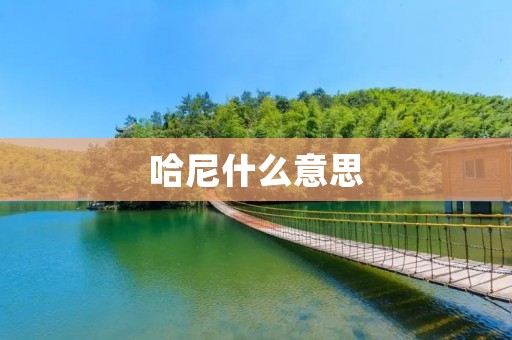 哈尼什么意思
