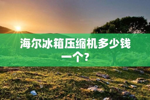 海尔冰箱压缩机多少钱一个？