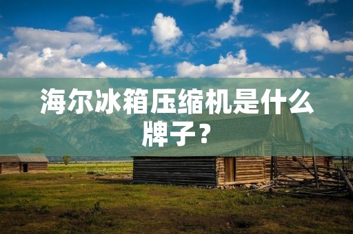 海尔冰箱压缩机是什么牌子？