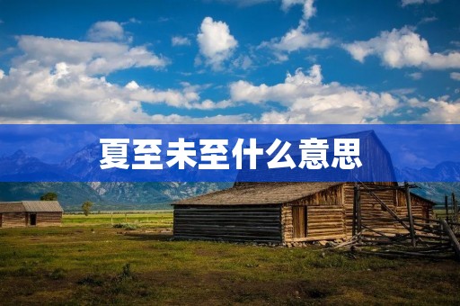 夏至未至什么意思