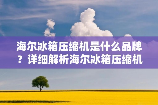 海尔冰箱压缩机是什么品牌？详细解析海尔冰箱压缩机的品牌身份与特点