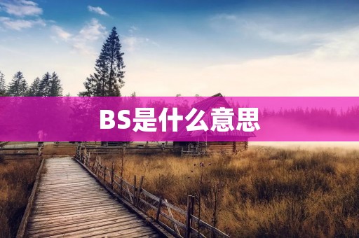 BS是什么意思