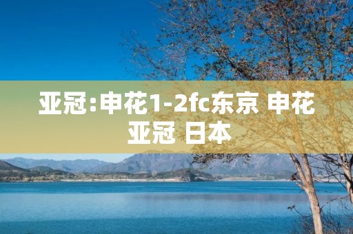 亚冠:申花1-2fc东京 申花 亚冠 日本