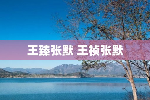 王臻张默 王祯张默 王臻张默 王祯张默