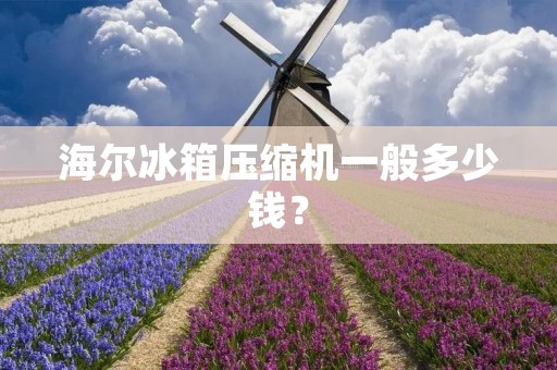 海尔冰箱压缩机一般多少钱? 海尔冰箱压缩机一般多少钱?
