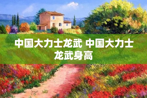 中国大力士龙武 中国大力士龙武身高