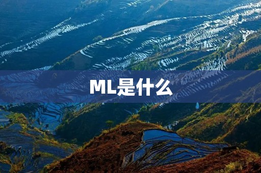 ML是什么