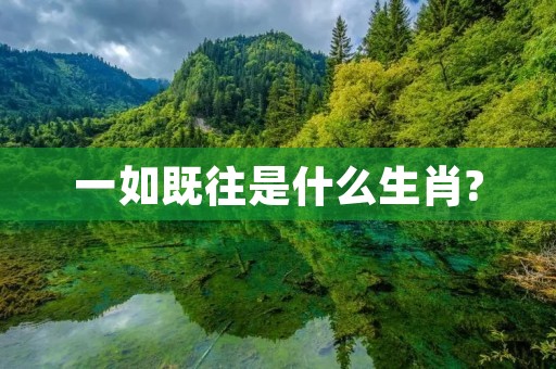 一如既往是什么生肖?