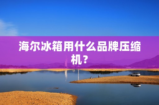 海尔冰箱用什么品牌压缩机？