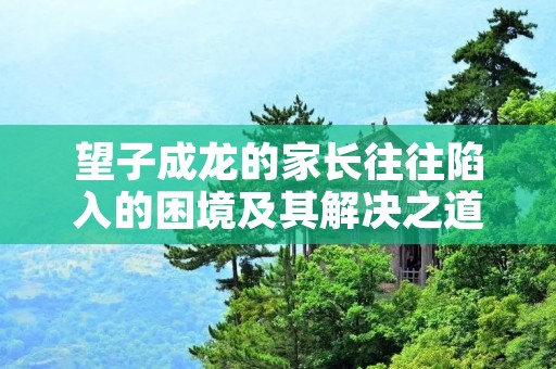 望子成龙的家长往往陷入的困境及其解决之道 望子成龙的家长往往陷入的困境及其解决之道