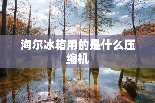 海尔冰箱用的是什么压缩机 海尔冰箱用的是什么压缩机