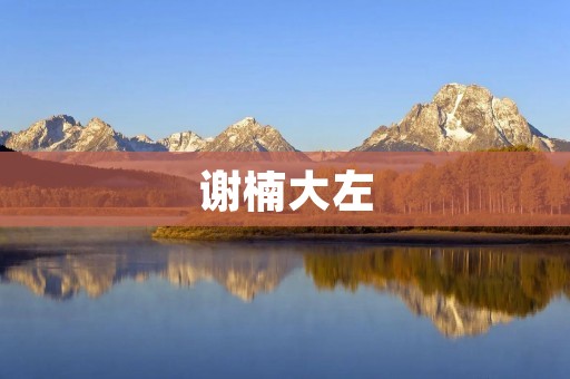 谢楠大左：中国音乐界的璀璨之星