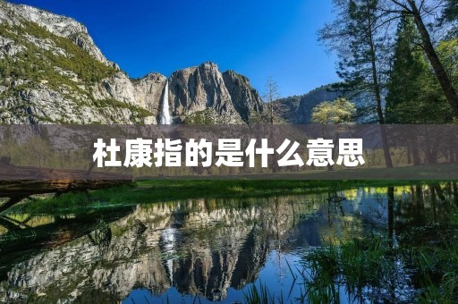 杜康指的是什么意思