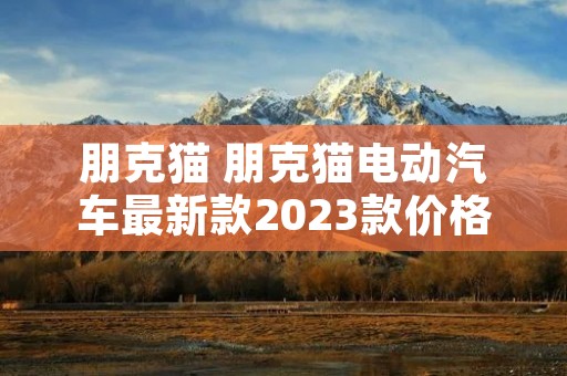 朋克猫 朋克猫电动汽车最新款2023款价格 朋克猫 朋克猫电动汽车最新款2023款价格
