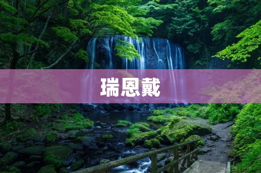 瑞恩戴:探索创新与领导力的典范 瑞恩戴:探索创新与领导力的典范